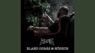 Guldtider