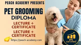 Diploma in Pet Grooming Training Course Lecture | Grooming Techniques, Pet Care & Get Certified