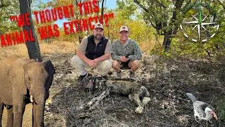 VLOG 32 &mdash; Отслеживание видов, находящихся под угрозой исчезновения &mdash; Африканская пятнистая собака...