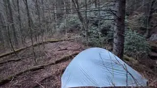 Backwoods Camp