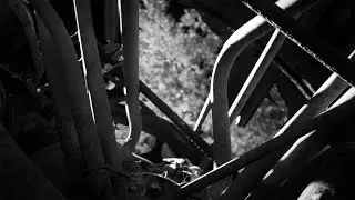 Delmer Darion - White Dawn Fog ft. Anna B Savage (Official Video)
