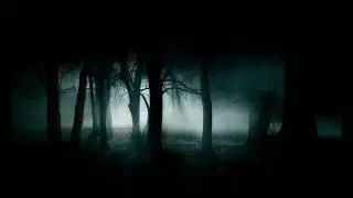 Muse - New Born