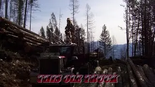 This Ole Truck
