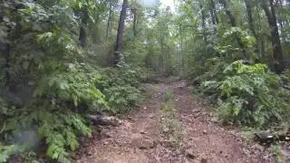 Fourche Mtn ATV Trails