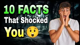 Forest Marvels: 10 Incredible Facts That Will Amaze You