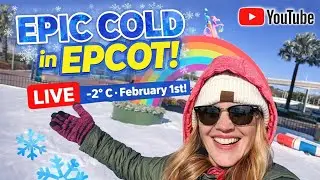 🔵 The coldest Disney day - Epcot in extreme weather