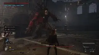 Lies of P parade master max level no hit