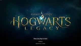 Hogwarts Legacy How To Make Your Game Look Real On Med Settings Without Setting It To Ultra Settings