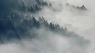 Relaxing Mountain Music with Mist for Ultimate Calm