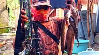 Strike bertubi tubi tanpa ampun || Paser ikan
