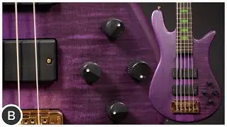 ПОТРЯСАЮЩИЙ МОНСТР НИЗКИХ ЧАСТОТ!! -- Spector Skyler Acord Signature Bass