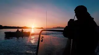 A Day in The Life on a Pacific Tugboat Adventure Eco Tour