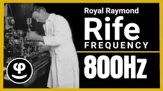 800Hz Rife Frequency | Kidney Healing & Cellular Detox