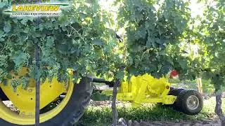 Collard Pneumatic Vineyard Leaf Removers