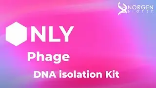 The World&rsquo;s Only Phage DNA Isolation Kit | Norgen Biotek