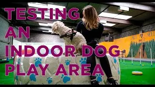 Pawsitive Play Indoor Play Area Glasgow