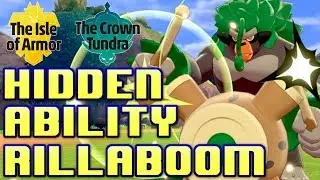 Hidden Ability Rillaboom Competitive Team Building Guide! Pokemon Sword and Shield VGC 2020 Battle