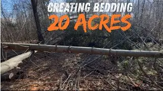 Most Hunters Ignore This&hellip; Whitetail Bedding on Small Properties | 20 Acre parcel 