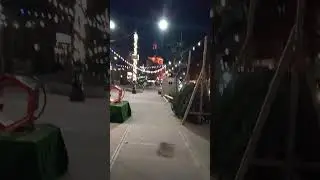 Greg's Christmas 🎄 trees on Broadway