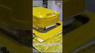 Valiz Nasıl Yapılır?