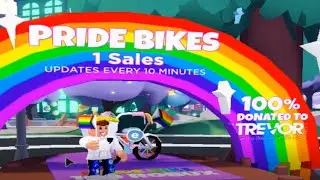 NEW Pride Bike & Flag in Overlook Bay