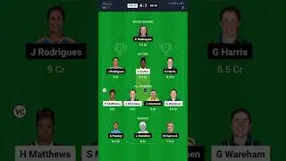 MR W VS BH W AUSTRALIA WOMEN'S T20 BIG BASH LEAGUE DREAM11 #dream11 #dream11prediction #shorts