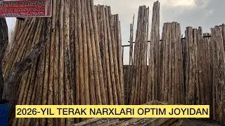 2026-YIL FARGONA ARZON OPTIM TERAK BOZOR NARXLARI👍 ( terak bozor narxlari )