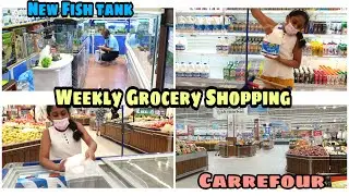 Weekly Quick Grocery Shopping In Bahrain 🛒🍒🥦 | Buying New Fish Tank 🐟 | Bahrain Mall CARREFOUR Tour