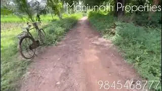 ID#448 14 gunta coconut 🌴farm land Red Soil Near village Bangalore Mysore Road 5km Channapatna 7.5km