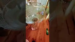 unbalanced blade replacement#shaft bush change#havells #stand fan #repair #real tricks
