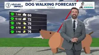 Doggone Weather in Northeast Ohio: Josie