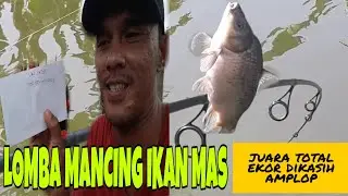 JUARA MANCING IKAN MAS, TOTAL WILAYAH