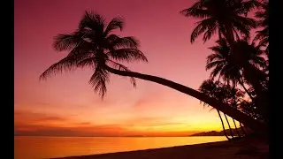 ZANZIBAR Produced by NADJ