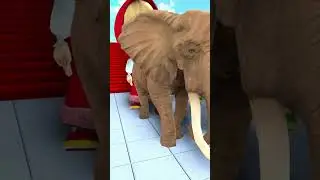 #cartoon #colorlearnin #colors #ducklingspro #animation #funny #kidseducatio #animals #and #games
