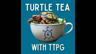 Padlopers: Breeding for the Future of the Parrot-Beaked Tortoise