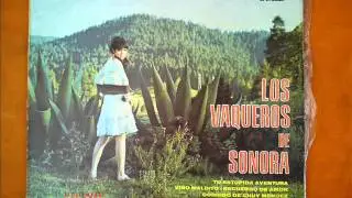 LOS VAQUEROS DE SONORA - VINO MALDITO.