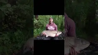 OGROMNY AMUR Z DZIKIEJ WODY