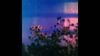 [FREE] Indie Rock x Shoegaze Type Beat - 