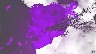 Carbin & MADGRRL - On & On (Out on Never Say Die)