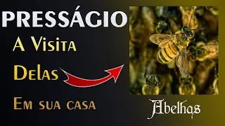 🏡 O Press&aacute;gio das Abelhas - A Visita Delas em Sua Casa