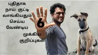 6 Dog Training Tips & Secrets (Kombai Dog)