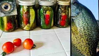 How To: Spicy Garlic Dill Pickles +Some Fishing