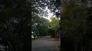 Morning Walk in Tezpur University | Tezpur Central University 