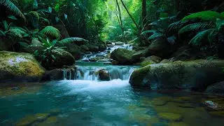 Gentle Forest River from Above 🌿 Soft Water Flow & Distant Bird Sounds for Deep Sleep