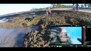 Monitoring of Coral Reefs using Low Cost Autonomous Underwater Robots   normal lysstyrke