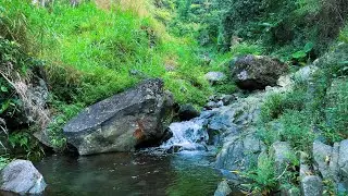 Water Sounds for Sleeping and Deep Sleep Using Soft Running Water to Reduce Stress and Anxiety
