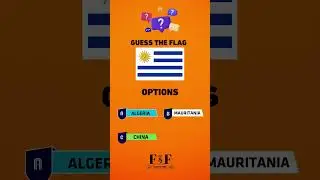 World flag quiz! How many can you guess correctly? 🚀🗺️