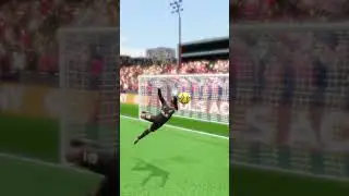 kaleci topu eline alırken gol değil mi?