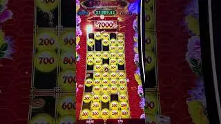 #goviral #slot #casino #slotmachine #lucky #jackpot #wow #bigwin #funslots #gambling