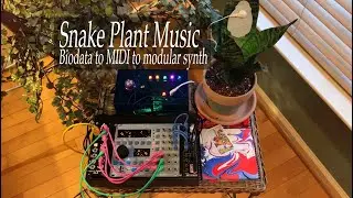 Snake Plant Music - Biodata Sonification